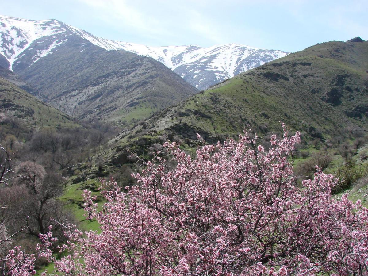 Hayat Guesthouse Nuratau Mountains Yukary-Ukhum Exterior foto